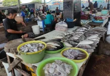 Cuaca Buruk, Tangkapan Ikan Perairan Kota Tegal Menurun