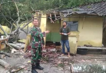 Warung Roboh Tertimpa Pohon saat Hujan Deras di Gumelar Banyumas