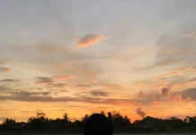 Menikmati Senja : Cara  Sederhana Tenangkan  Pikiran