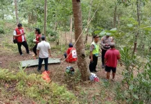 Petani Tewas Tertimpa Pohon Jenitri di Kebumen