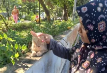 Pelihara Hewan bagi Anak: antara Manfaat dan Risiko Kesehatan