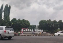 Pemkab Purbalingga Ajukan Raperda Perlindungan Anak