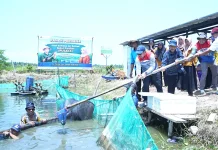 Panen Perdana Sidat Pusaka, Harapan Baru Warga Kampung Laut