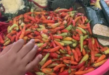 Jelang Lebaran, Harga Cabai Rawit Merah di Banyumas Sentuh Rp130.000 per Kg