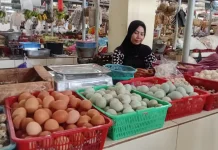 Harga Daging Ayam dan Telur Pasca Lebaran Mengalami Penurunan
