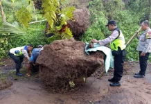 Polsek Bobotsari Bersama Warga Evakuasi Material Longsor