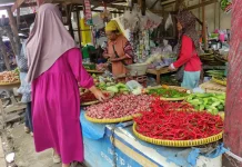 Harga Cabai Mulai Stabil, Rawit Merah Masih Kisaran Rp.70.000 per Kilogram