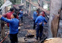 Kebakaran Kandang di Mrebet, Kerugian Ditaksir Ratusan Juta