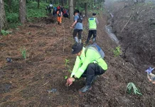 Polsek Karangreja Ikuti Aksi Penanaman 5.000 Pohon di Gunung Malang