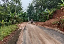 Hujan Deras Picu Longsor di Banyumas, Akses Jalan Patikraja–Jatilawang Terganggu