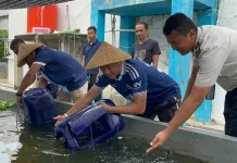 Budidaya Lele, Warga Binaan Lapas Brebes Tebar 2.000 Benih