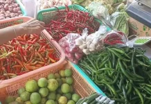 Harga Cabai Hijau Turun Drastis Menjadi Rp16 Ribu per Kilogram
