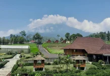 Purbalingga Masuk 10 Besar Kunjungan Wisata Jateng, D’Las Serang Jadi Primadona