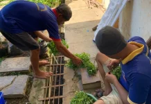 Warga Binaan Rutan Banyumas Panen Hortikultura
