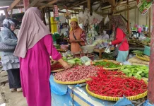 Harga Bumbu Dapur dan Ayam di Pasar Bawang Kabupaten tegal Alami Fluktuasi