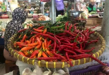 Pasokan Minim, Harga Cabai Merah Keriting Tembus Rp42 Ribu per Kilogram