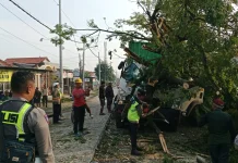 Truk Alami Kecelakaan Tunggal di Tarub Kabupaten Tegal
