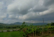 Banyumas Raya Berpotensi Hujan Sedang hingga Lebat