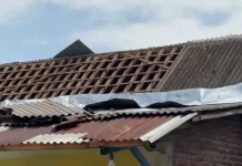 BPBD Banyumas Catat 227 Kejadian Bencana di 2026, Didominasi Angin Kencang