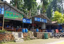 Wisata Hutan Pinus Limpakuwus Ramai Dikunjungi saat Akhir Pekan