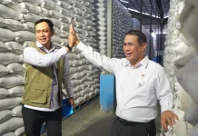 Stok Beras Bulog Tembus 5 Juta Ton
