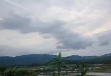 BMKG: Banyumas Raya Berpotensi Hujan Sedang hingga Lebat