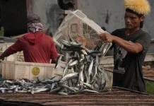 Jadikan Tegal Sebagai Pusat Studi, UHN Gandeng Rujak Center Luncurkan PKPP