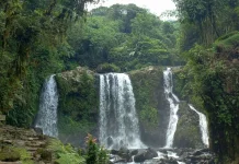 Dari Mata Air Gunung Slamet: Aliran Jernih Curug Jenggala yang Menyegarkan
