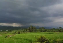 Banyumas Raya Berpotensi Diguyur Hujan Sedang hingga Lebat