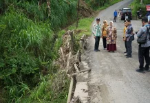 Bupati Cek Jembatan Sendangdalem hingga Betonisasi di Kutowinangun dan Ambal