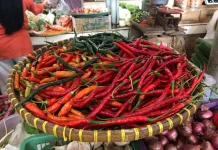 Jelang Idul Adha, Cabai Rawit Merah Tembus Rp68 Ribu per Kg