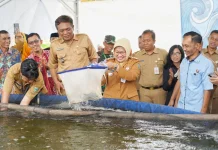 Bupati Lilis Resmikan Samsat Budiman dan Panen Nila Sistem RAS