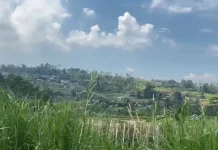 Karangsalam Lor Kembangkan Potensi Desa Wisata Lereng Gunung Slamet