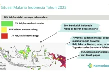Kemenkes : 80% Daerah Bebas Malaria, Indonesia Kejar Eliminasi Malaria pada 2030