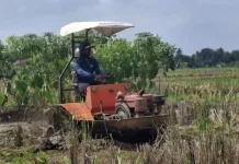 BUMDes Karangjati Gunakan Traktor Perahu untuk Percepat Masa Tanam
