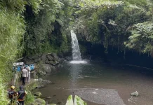 Santriwati Tenggelam di Curug Kanesia Baturraden, Ditemukan Meninggal Dunia