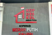 KDKMP Dinilai Mampu Kurangi Kemiskinan dan Ciptakan Lapangan Kerja dari Desa