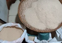 Harga Beras IR Mulai Naik, Pedagang Sebut Gabah Mahal dan Pasokan Sulit
