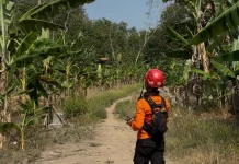 Hari Keempat Pencarian, Basarnas Kembali Turunkan Tim di Hutan Binangun