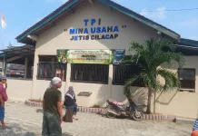 Harga Ikan di TPI Pantai Jetis Stabil Jelang Akhir Pekan