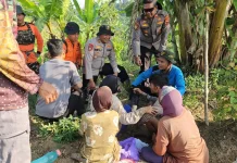 Tim SAR Temukan Warga Hilang di Hutan