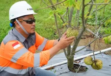 Solusi Bangun Indonesia Raih GMP Terbaik Jawa Tengah