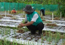 Komitmen Berkelanjutan PLTU Adipala, Manfaatkan FABA Lebih Bermakna