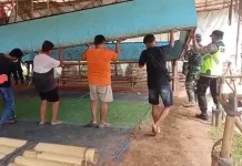 Arena Sabung Ayam di Ayah Dibongkar Polres Kebumen