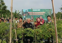 Regenerasi Petani Muda Banyumas Didorong lewat Agritransform