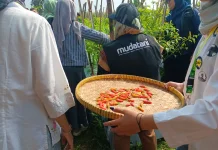 Panen Raya Batch Pertama Tandai Keberhasilan Muda Tani