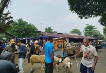 Menjelang Idul Adha, Stok Kambing di Pasar Hewan Purbalingga Melonjak