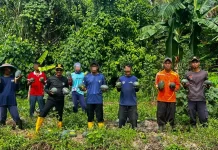 WBP Lapas Terbuka Nusakambangan Panen Semangka