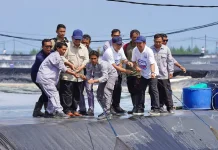 Presiden Prabowo Panen Raya Udang Vannamei di Kebumen