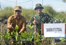 Kodim 0712/Tegal Tanam 500 Bibit Mangrove di Pantai Kedungkelor